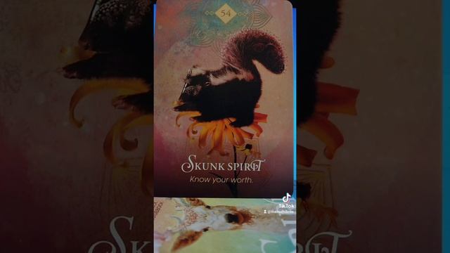 Animal Spirit Oracle Card Reading смотреть онлайн