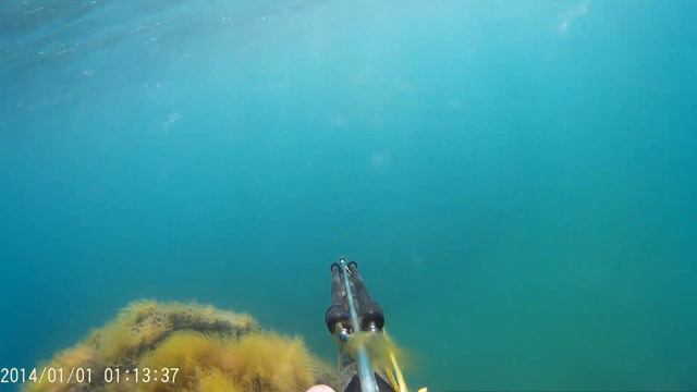 Подводная охота, Блага. смотреть онлайн