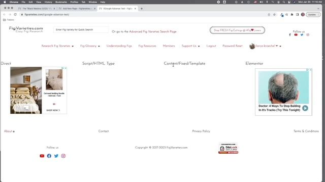 Make Sure You Do This To Display Kadence Template/Element Shortcodes смотреть онлайн