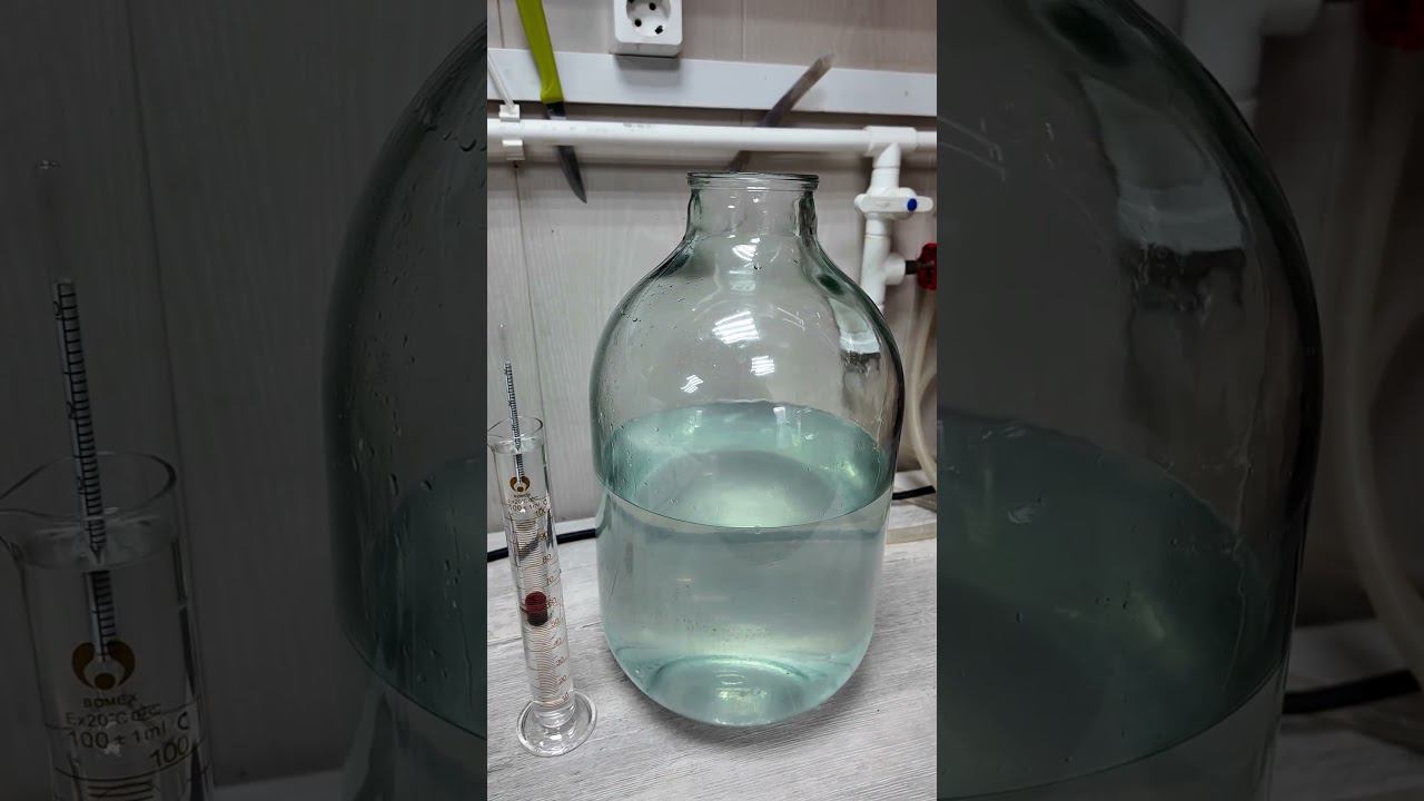 Кальвадос из магазинного сидра #самозванцы #shorts смотреть онлайн