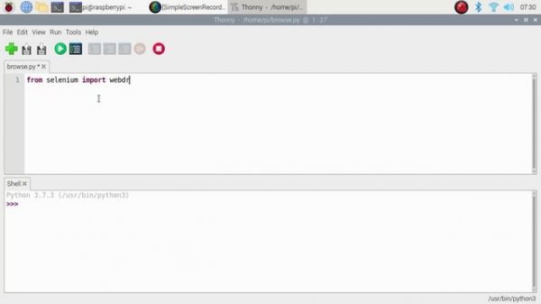 selenium raspberry pi 4 | selenium raspberry pi chromium  | raspberry pi 4 selenium