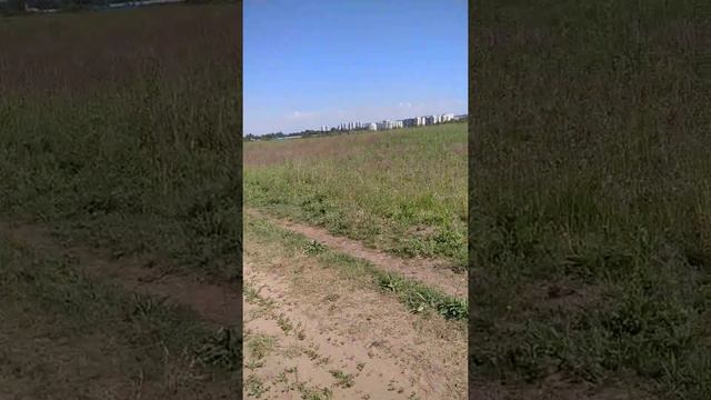 ПРИРОДА МАЛЕНЬКИЙ ЛЕС И ЗЕМЛЯНИКА ЛЕНИНГРАДСКАЯ ОБЛАСТЬ КОННЫЙ СПОРТ КАНАЛЫ НА ЮТУБЕ смотреть онлайн
