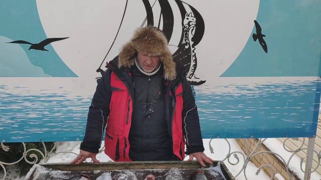 Парус Север интервью смотреть онлайн