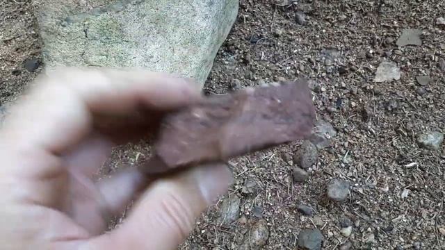 Часть 3. Камешки. Серия "На чем растут леса в окрестностях Санкт-Петербурга". смотреть онлайн