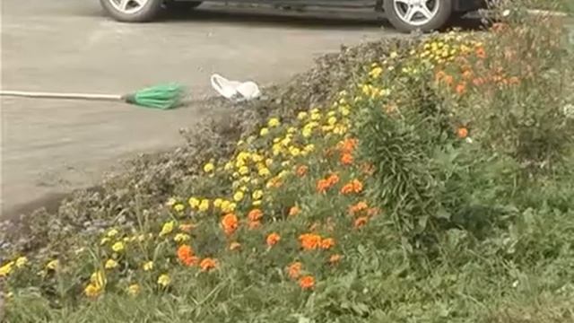 заводские проходные.avi смотреть онлайн