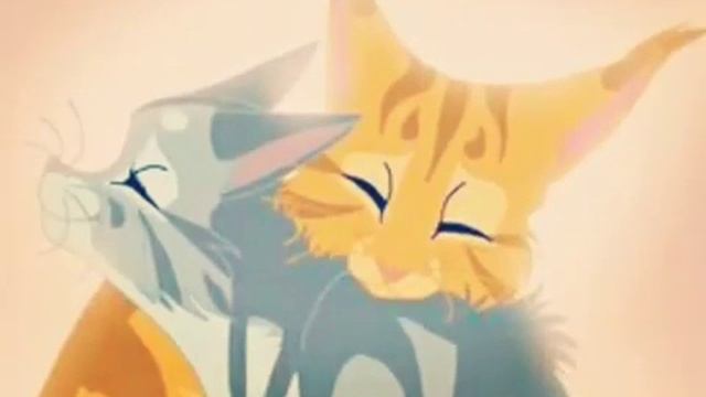 Коты-воители😍😍😍 смотреть онлайн