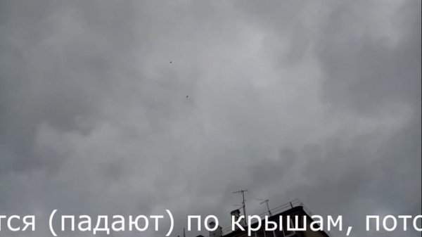 Ястреб Тетеревятник гоняет голубей | Goshawk attacks pigeos