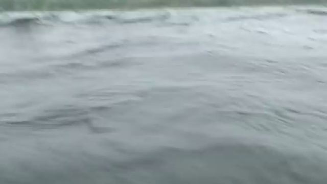 В гостях у Кулибы | Подводные просторы России смотреть онлайн