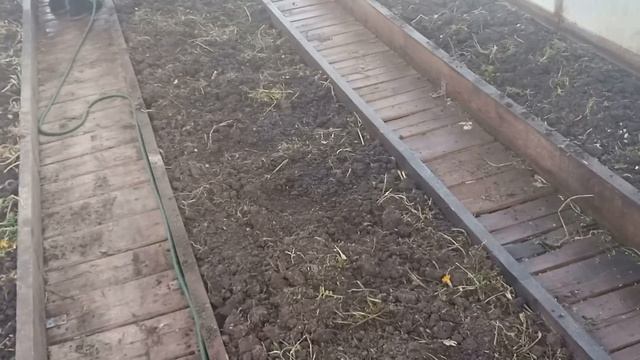 Обработка теплицы после сбора урожая осенью.Дезинфекция и обеззараживание почвы.Моем теплицу осенью смотреть онлайн