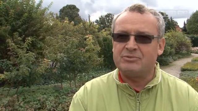 Gold für Bad Langensalza bei Entente Florale смотреть онлайн