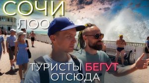 СОЧИ ЦЕНЫ 2023 ЛОО. Почему туристы срочно уезжают? Цены, море, жилье, питание