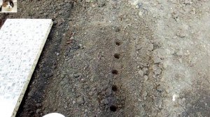 Как правильно посадить репу в открытый грунт семенами когда сажать