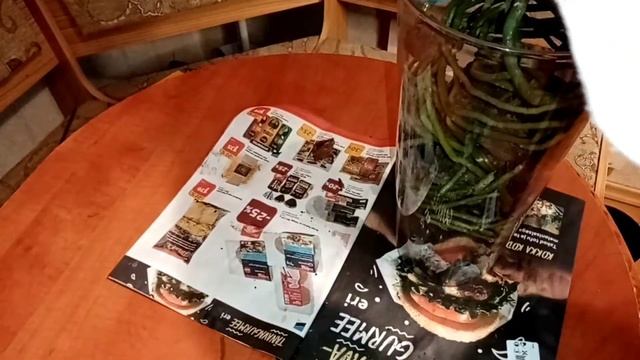 Посадка ванды в закрытую систему. смотреть онлайн