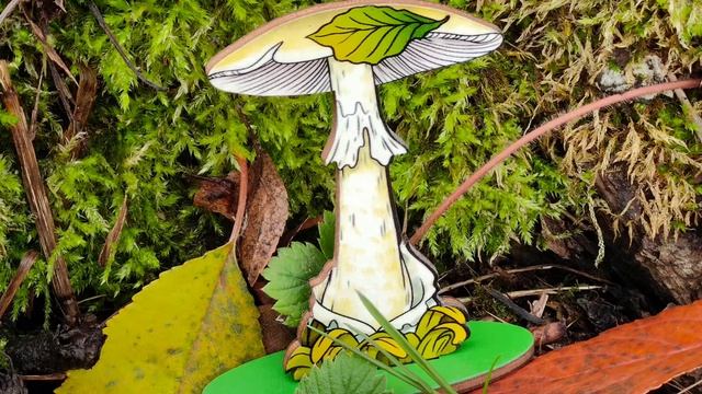 Грибы. Игра "Четвертый-лишний". Владимир Сутеев "Живые грибы" смотреть онлайн