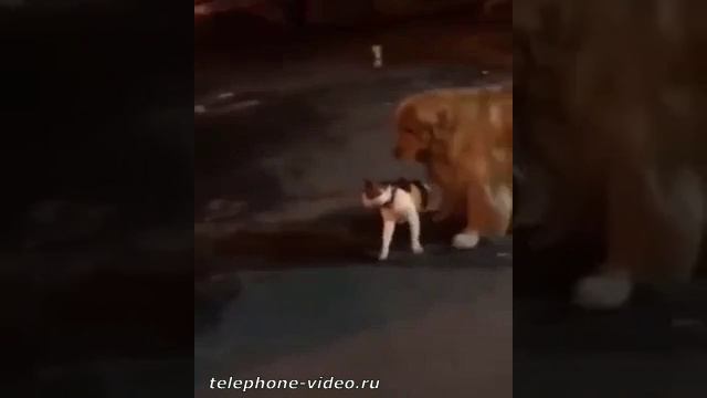 не тронь ребятам на фронт я там уже был и знаю каково это 2202 2003 4591 2586 смотреть онлайн