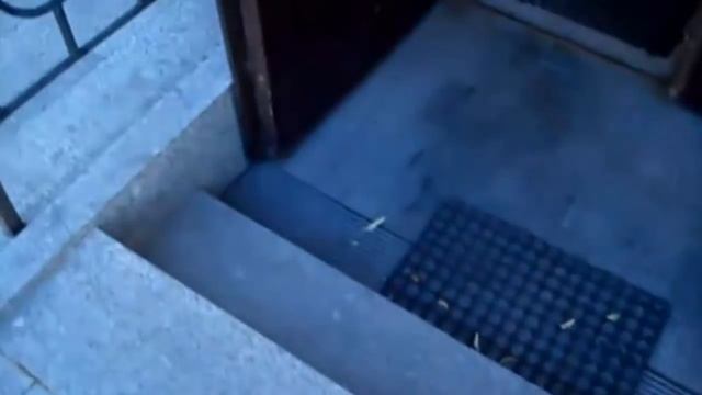 Москва Допотопная. 19 век. Неглинка. О чем умолчал Гиляровский смотреть онлайн