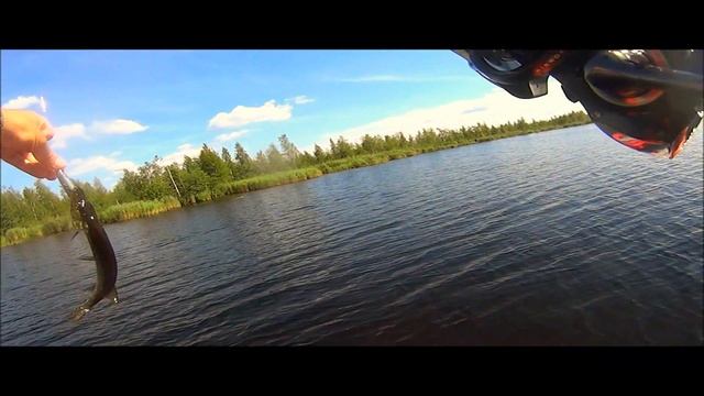 ТОП 10 Лучших воблеров на щуку и окуня + бонус смотреть онлайн