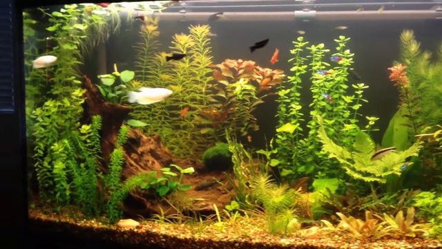 00 смотреть онлайн