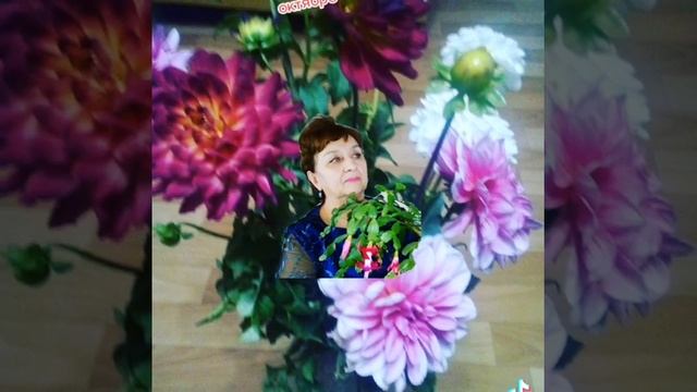 Георгины #цветы на осень. смотреть онлайн