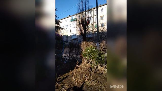 4 января 2020г. Микрорайон Военный городок смотреть онлайн
