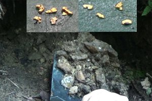 Разведка россыпного золота на ручье! Гиблые места...