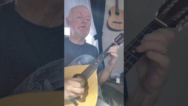 The Skye Gathering Played on a Hora Mandola Tuned to GDAE Octave Mandolin Tuning смотреть онлайн