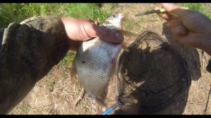 Экстрактор. Для рыбалки. Как пользоваться. Extractor for fishing.