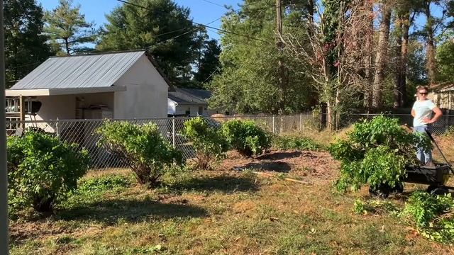 Planting Nandina!// What You NEED to Know// Crystal Does смотреть онлайн