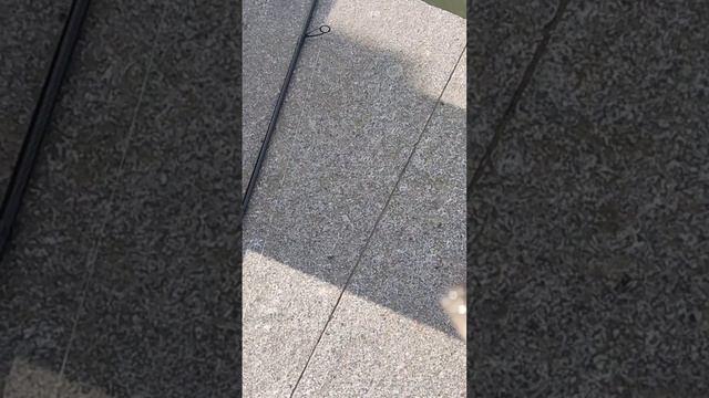 Рыбалка на дону 2023 смотреть онлайн