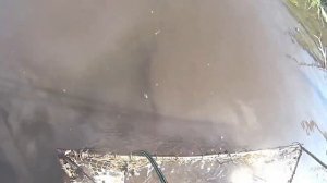 ВЕДРО РАКОВ ЗА ЧАС! Как наловить много раков в пруду..mp4