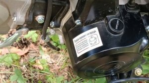 Обзор мопеда Альфа Forester 125. Крутые фишки альфы лесника.