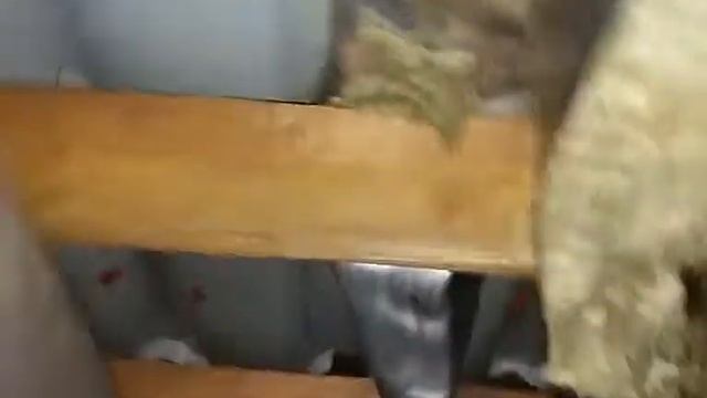 Почему дымит камин. Обследование камина. смотреть онлайн