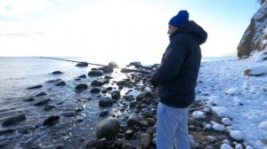 ОНА СУЩЕСТВУЕТ! ЛОСОСЬ! Как снежок и рыбка. Рыбалка на спиннинг с берега