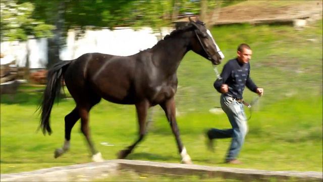 Галатея-первые прыжки смотреть онлайн