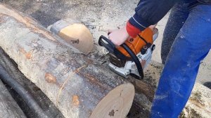 stihl 661  (just some fun )