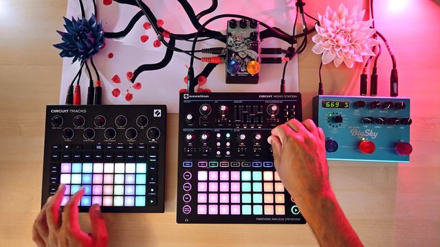 043▶️ Circuits (Novation Circuit Tracks // Circuit Mono Station + Bigsky + Walrus Audio Julianna)