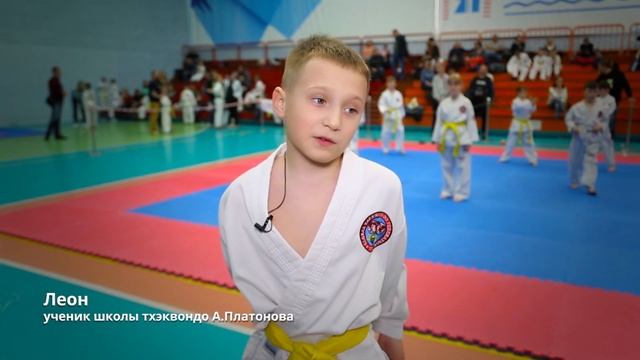 Тхэквондо. Фестиваль цветных поясов в Ярославле. Школа тхэквондо Антона Платонова. смотреть онлайн