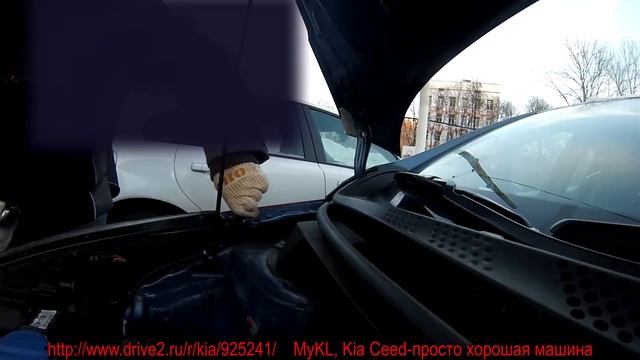 Kia Ceed Hood Struts Installation new смотреть онлайн
