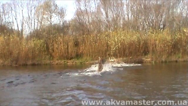 Подводная охота смотреть онлайн