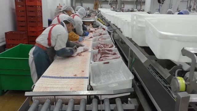 Великолукский мясокомбинат смотреть онлайн