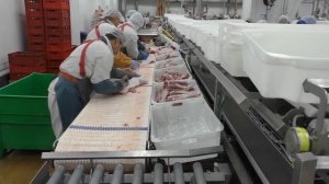 Великолукский мясокомбинат