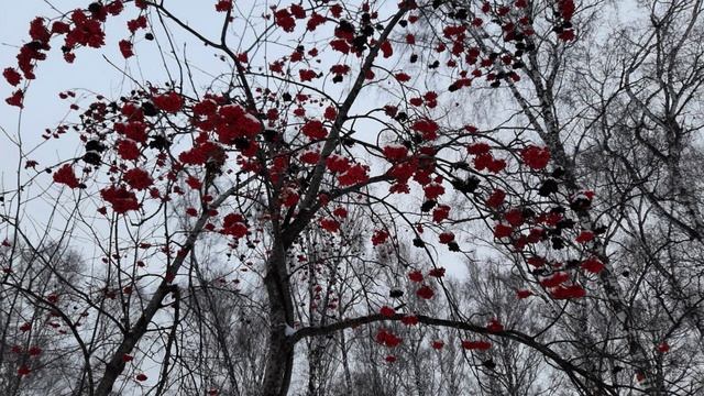 Книга: Как найти свою вторую половинку. Часть 11. смотреть онлайн