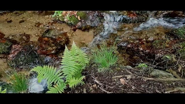 ShataQS - Światło A=432hz  (oficjalne Video - Official Music Video)