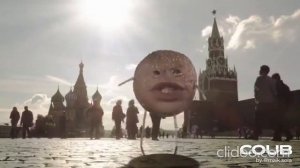 Булочка поет «Люби меня люби» целых пять часов ,смотреть без смс и регистрации