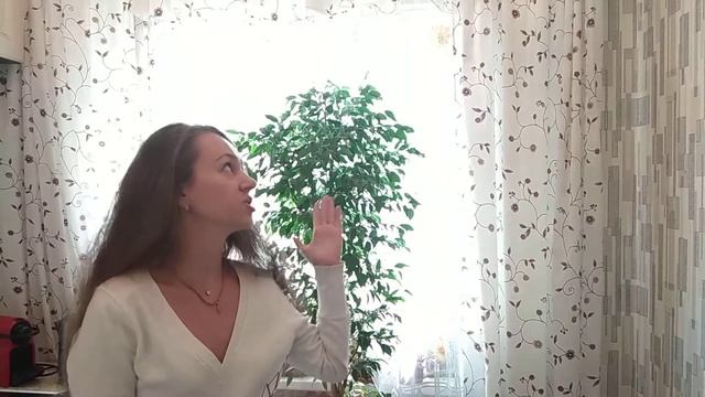 Абрикос — отзыв 4 смотреть онлайн