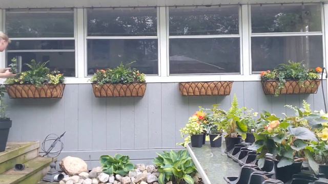 Planting Windows Boxes, Quick & Easy смотреть онлайн