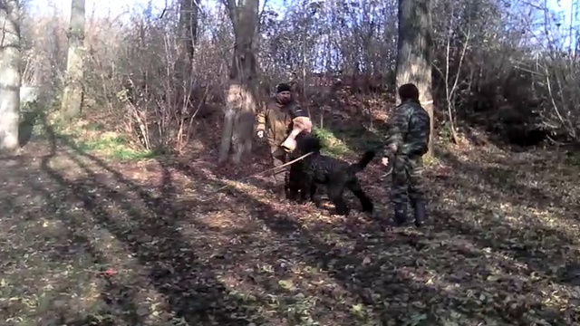 VID_20161025_133256 смотреть онлайн