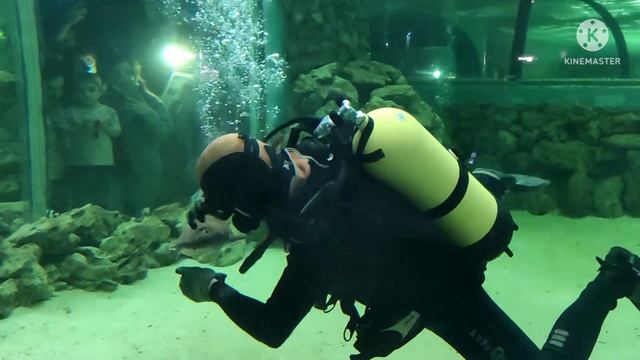 Океанариум Краснодара ТЦ Галактика смотреть онлайн