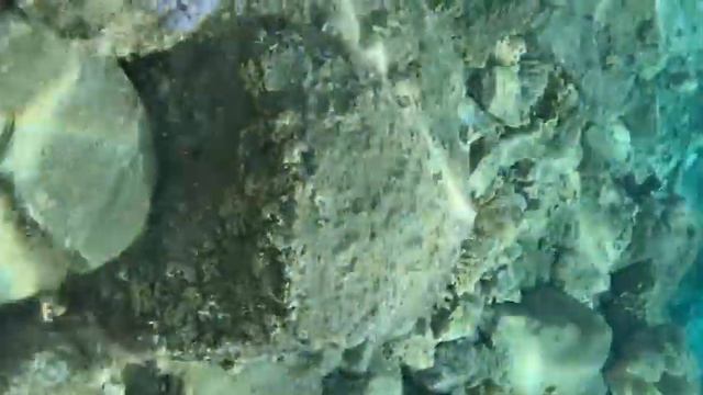 Test iphone SE2020 underwater.Тестирую мой iphone SE 2020 на водонепроницаемость. смотреть онлайн