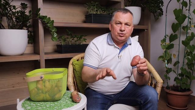Как ПРАВИЛЬНО подготовить картофель к посадке смотреть онлайн